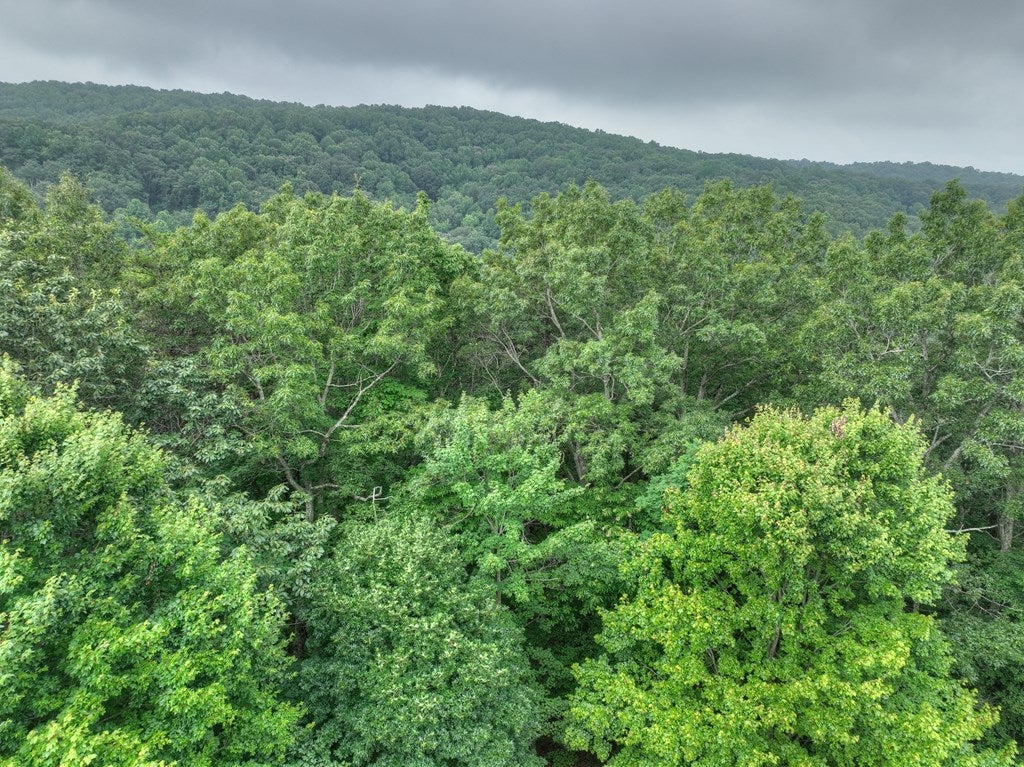 Ellijay, Georgia, 30536, United States, 6 Bedrooms Bedrooms, ,7 BathroomsBathrooms,Residential,Active,1790226