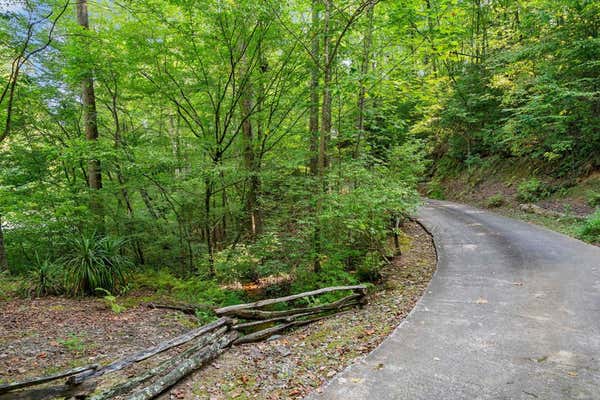 0 TURNIPTOWN ROAD, ELLIJAY, GA 30536, photo 2 of 18