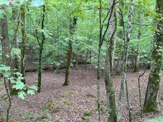 LOT 3093 MONOCLE DRIVE, ELLIJAY, GA 30540 - Image 1