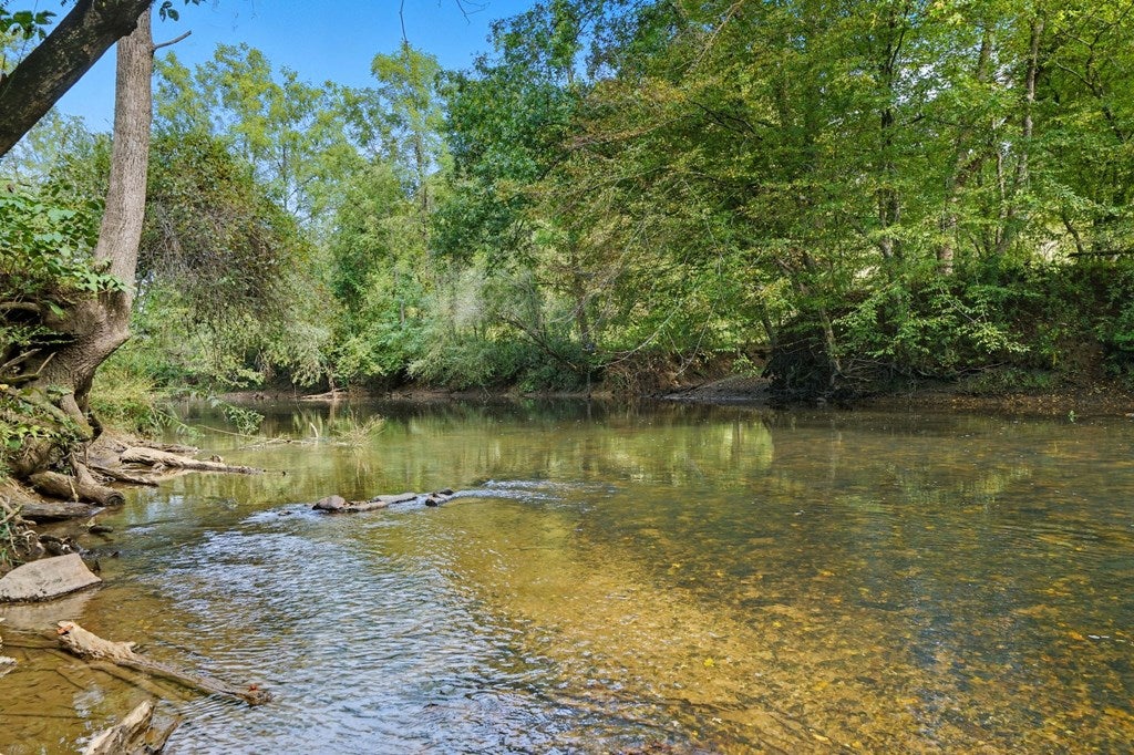 Ellijay, Georgia, 30540, United States, 4 Bedrooms Bedrooms, ,4 BathroomsBathrooms,Residential,Active,1954327