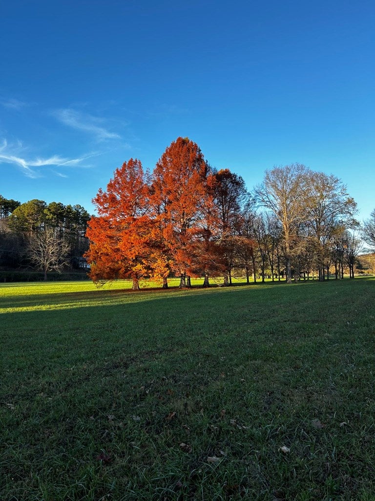 Warne, North Carolina, 28909, United States, 5 Bedrooms Bedrooms, ,6 BathroomsBathrooms,Residential,Active,1968121