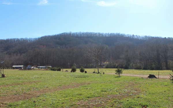 HWY 64 OLD HWY 64E, HAYESVILLE, NC 28904, photo 3 of 26