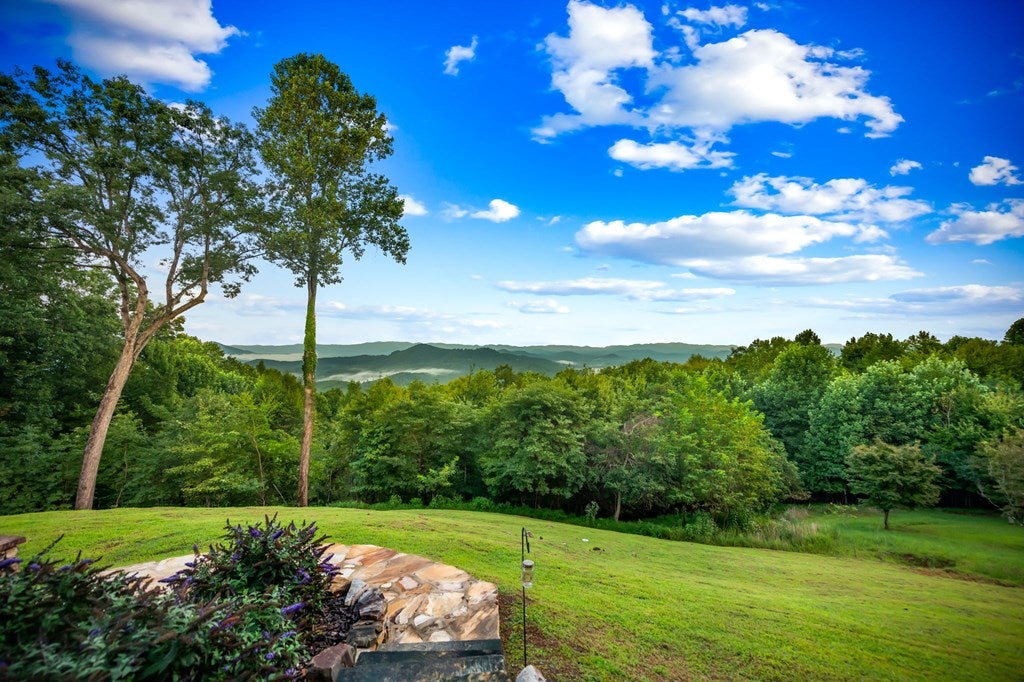 Mineral Bluff, Georgia, 30559, United States, 4 Bedrooms Bedrooms, ,4 BathroomsBathrooms,Residential,Active,1929467