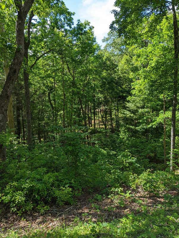 LOT 1&2 HIGHLAND ROAD, MURPHY, NC 28906, photo 1 of 7