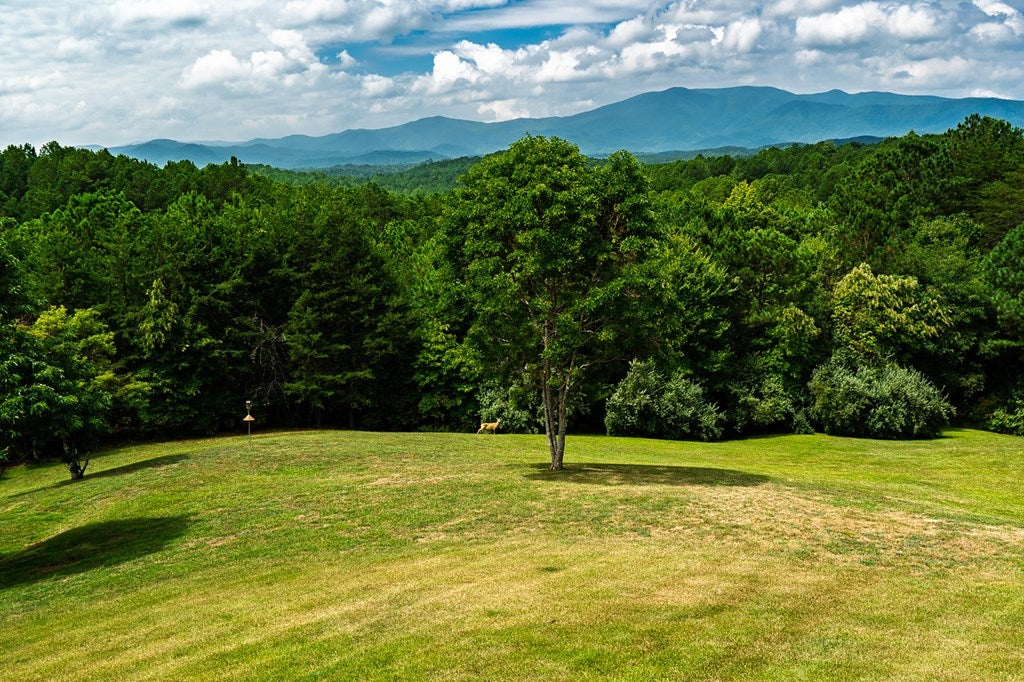 Copperhill, Tennessee, 37317, United States, 5 Bedrooms Bedrooms, ,6 BathroomsBathrooms,Residential,Active,1871227
