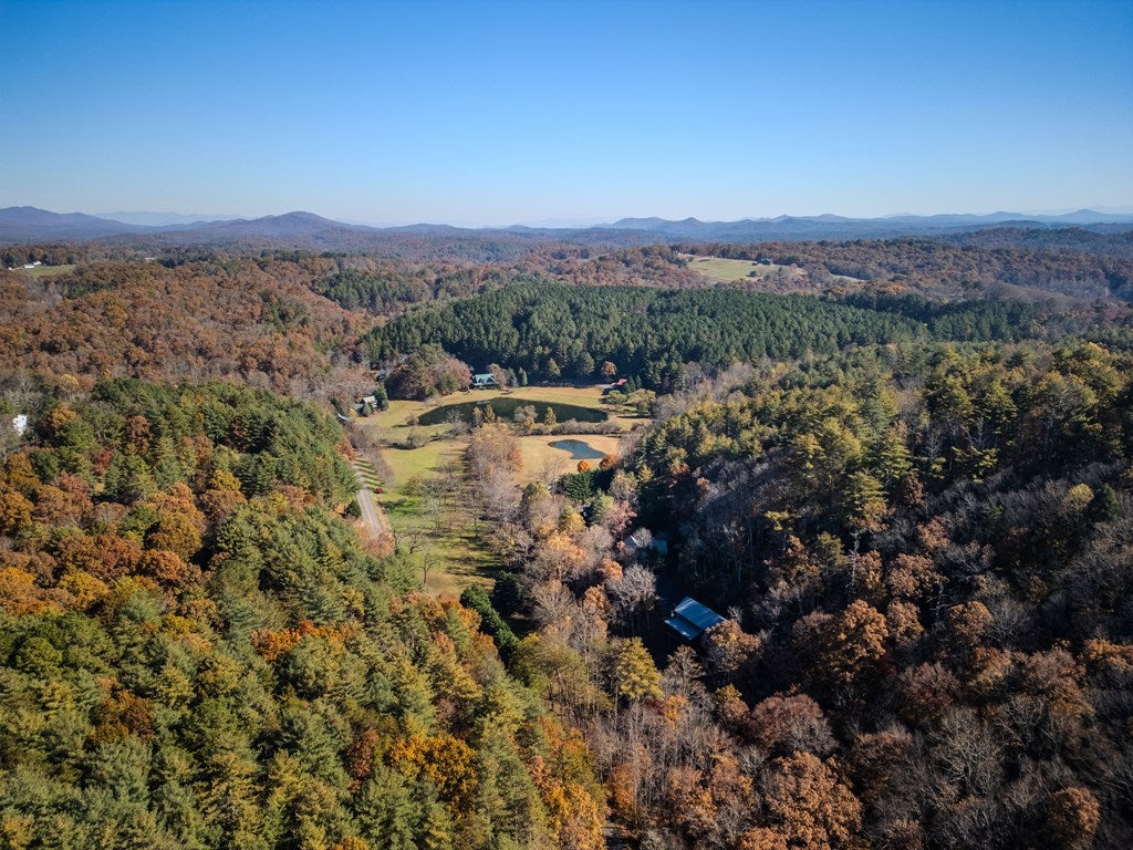 Blue Ridge, Georgia, 30513, United States, 4 Bedrooms Bedrooms, ,4 BathroomsBathrooms,Residential,Active,1990018