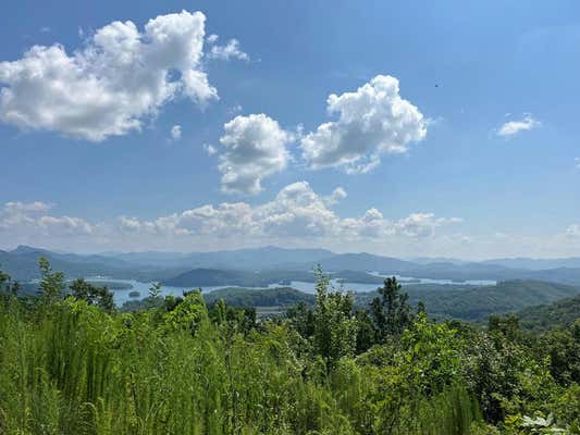 LOT 14 BELL LAKE VIEW, HAYESVILLE, NC 28904 - Image 1