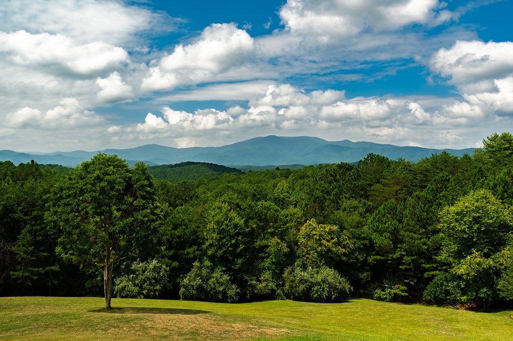 Copperhill, Tennessee, 37317, United States, 5 Bedrooms Bedrooms, ,6 BathroomsBathrooms,Residential,Active,1871227