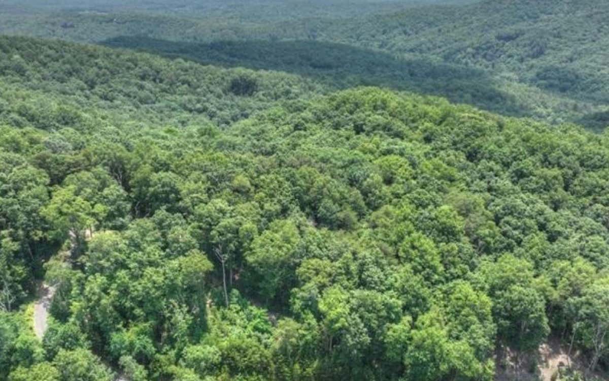 LOT 5 HEIGHTS OVERLOOK, CHERRY LOG, GA 30522, photo 1 of 13