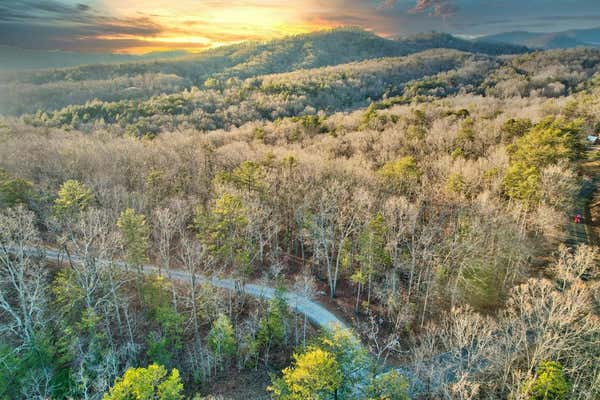 LOT 5 WILD GOOSE LANE, MINERAL BLUFF, GA 30559 - Image 1