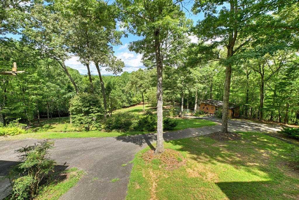 Mineral Bluff, Georgia, 30559, United States, 4 Bedrooms Bedrooms, ,3 BathroomsBathrooms,Residential,Active,1899865