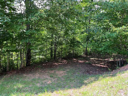 LOT #26 DOUBLE KNOB DRIVE E, HAYESVILLE, NC 28904 - Image 1