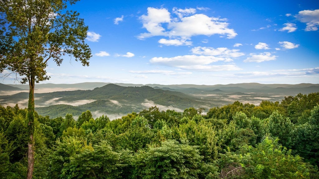 Mineral Bluff, Georgia, 30559, United States, 4 Bedrooms Bedrooms, ,4 BathroomsBathrooms,Residential,Active,1929467