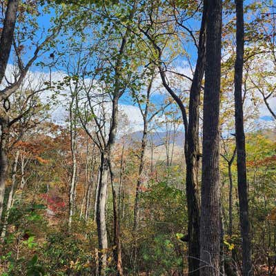 LOT 10 ENCHANTMENT WAY, HIAWASSEE, GA 30546 - Image 1