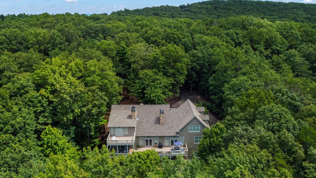 Ellijay, Georgia, 30536, United States, 6 Bedrooms Bedrooms, ,7 BathroomsBathrooms,Residential,Active,1790226