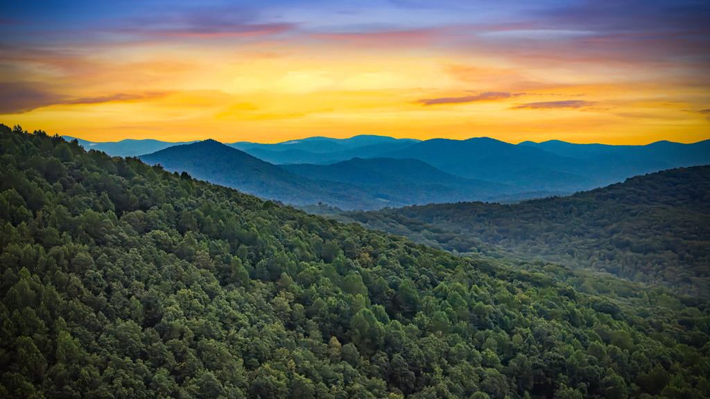 Morganton, Georgia, 30560, United States, 4 Bedrooms Bedrooms, ,5 BathroomsBathrooms,Residential,Active,1952626