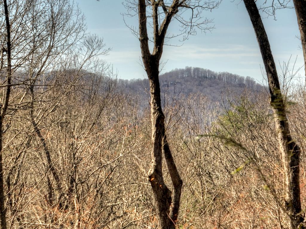 Ellijay, Georgia, 30536, United States, 5 Bedrooms Bedrooms, ,6 BathroomsBathrooms,Residential,Active,1953362