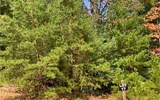 LOT17 FRANCES DRIVE, ELLIJAY, GA 30536, photo 1 of 4