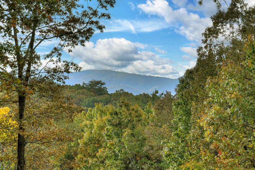 Ellijay, Georgia, 30540, United States, 5 Bedrooms Bedrooms, ,4 BathroomsBathrooms,Residential,Active,1745330