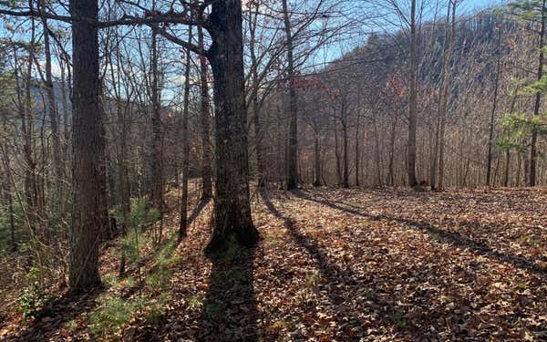 LOT25 LAUREL MOUNTAIN DRIVE, BRASSTOWN, NC 28902, photo 4 of 5