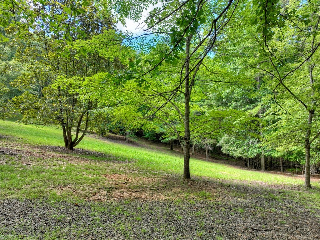 Mineral Bluff, Georgia, 30559, United States, 4 Bedrooms Bedrooms, ,3 BathroomsBathrooms,Residential,Active,1899865