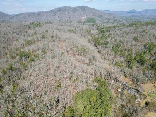 0 SCOTS GLEN ROAD, MINERAL BLUFF, GA 30559, photo 3 of 9