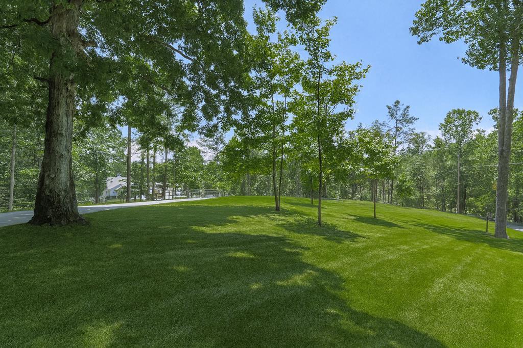 Ellijay, Georgia, 30540, United States, 4 Bedrooms Bedrooms, ,5 BathroomsBathrooms,Residential,Active,1929440