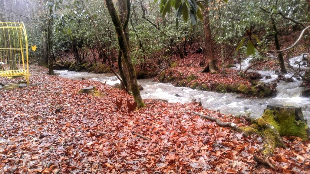 Hiawassee, Georgia, 30546, United States, 3 Bedrooms Bedrooms, ,2 BathroomsBathrooms,Residential,Active,2007353