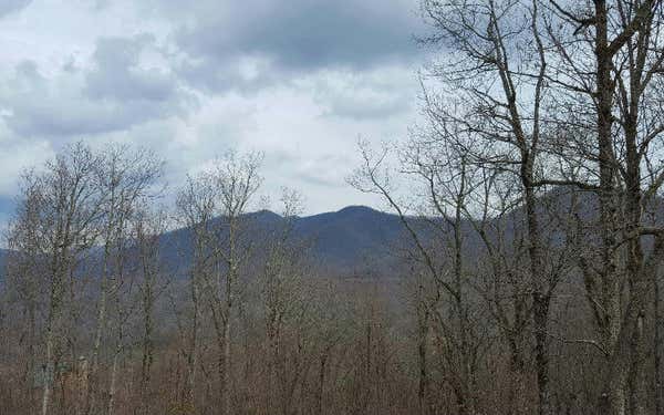 LOT24 CABIN COVE, HAYESVILLE, NC 28904, photo 4 of 10