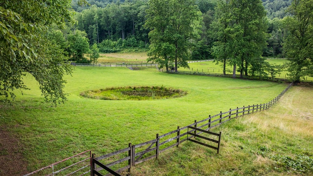 Blue Ridge, Georgia, 30513, United States, 3 Bedrooms Bedrooms, ,4 BathroomsBathrooms,Residential,Active,2008330