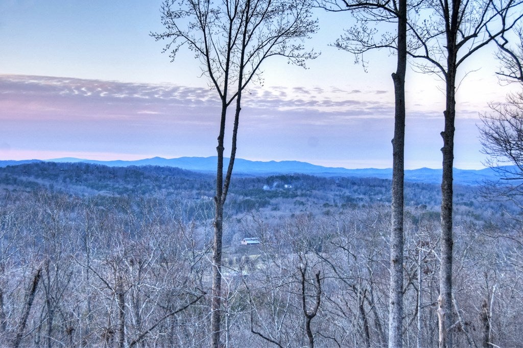 Blue Ridge, Georgia, 30513, United States, 5 Bedrooms Bedrooms, ,6 BathroomsBathrooms,Residential,Active,2017447