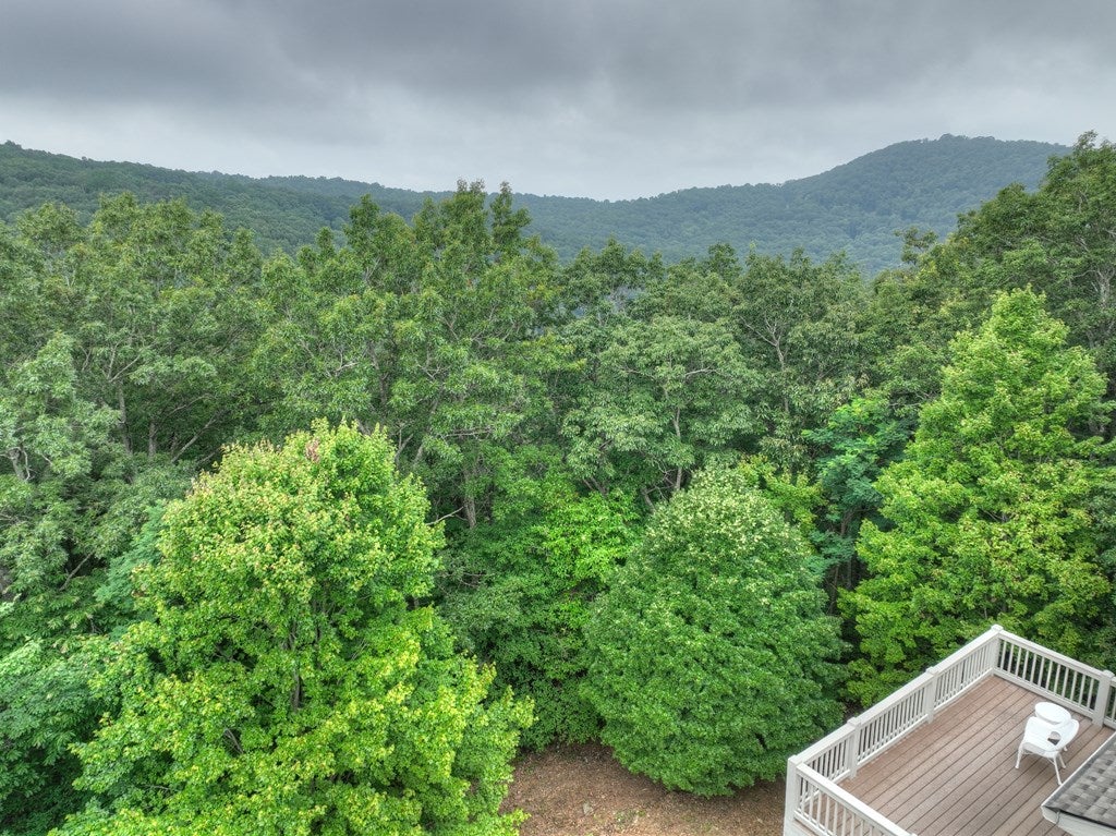 Ellijay, Georgia, 30536, United States, 6 Bedrooms Bedrooms, ,7 BathroomsBathrooms,Residential,Active,1790226
