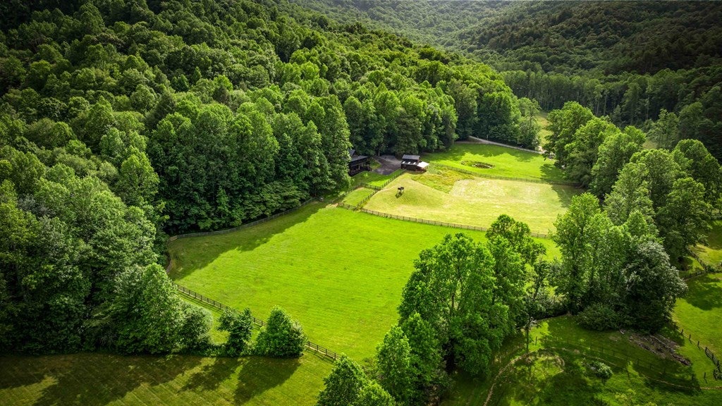 Blue Ridge, Georgia, 30513, United States, 3 Bedrooms Bedrooms, ,4 BathroomsBathrooms,Residential,Active,2008330