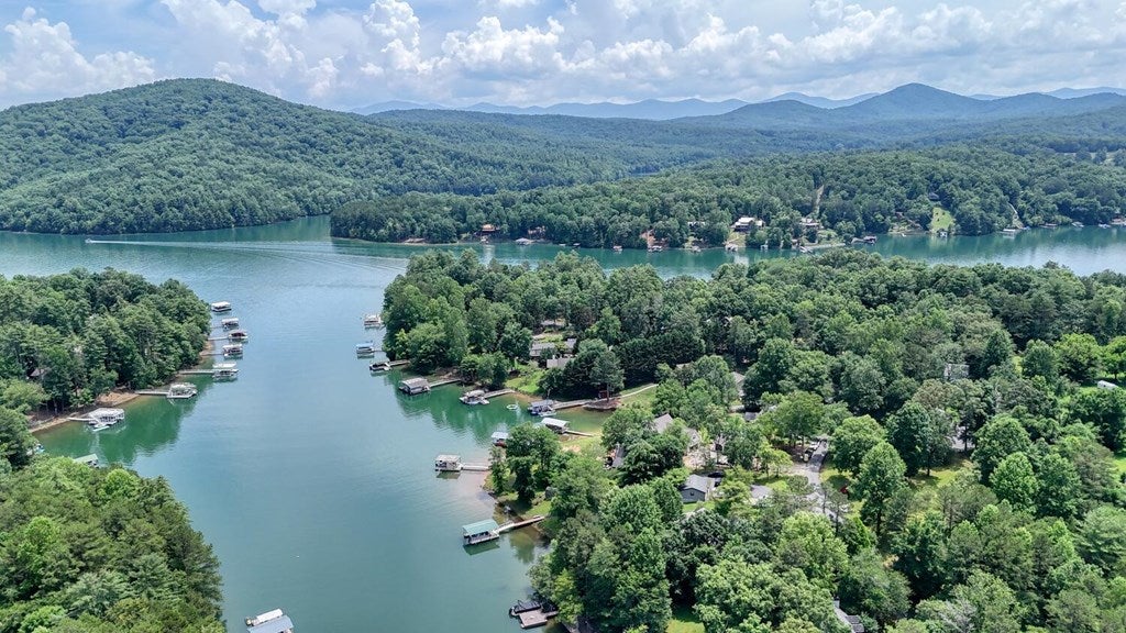 Blairsville, Georgia, 30512, United States, 3 Bedrooms Bedrooms, ,3 BathroomsBathrooms,Residential,Active,1877859