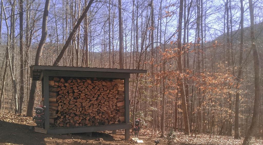 Hiawassee, Georgia, 30546, United States, 3 Bedrooms Bedrooms, ,2 BathroomsBathrooms,Residential,Active,2007353