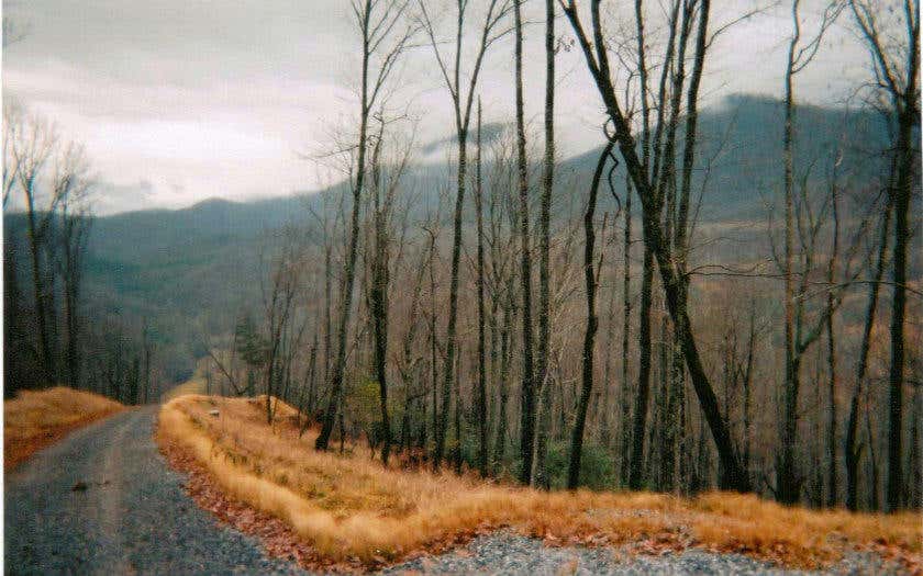 LOT24 CABIN COVE, HAYESVILLE, NC 28904, photo 1 of 10