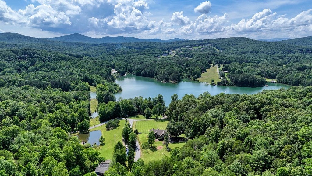 Blairsville, Georgia, 30512, United States, 4 Bedrooms Bedrooms, ,4 BathroomsBathrooms,Residential,Active,1850663