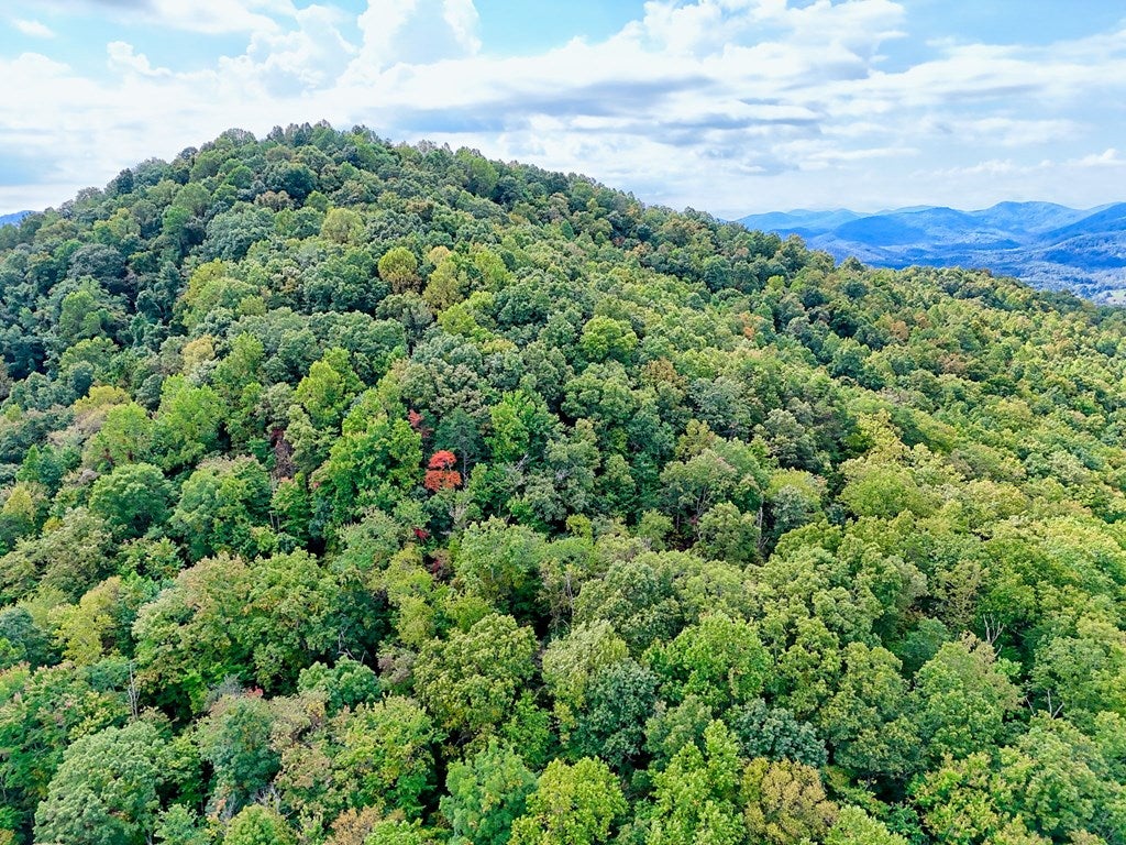 Warne, North Carolina, 28909, United States, 5 Bedrooms Bedrooms, ,6 BathroomsBathrooms,Residential,Active,1968121