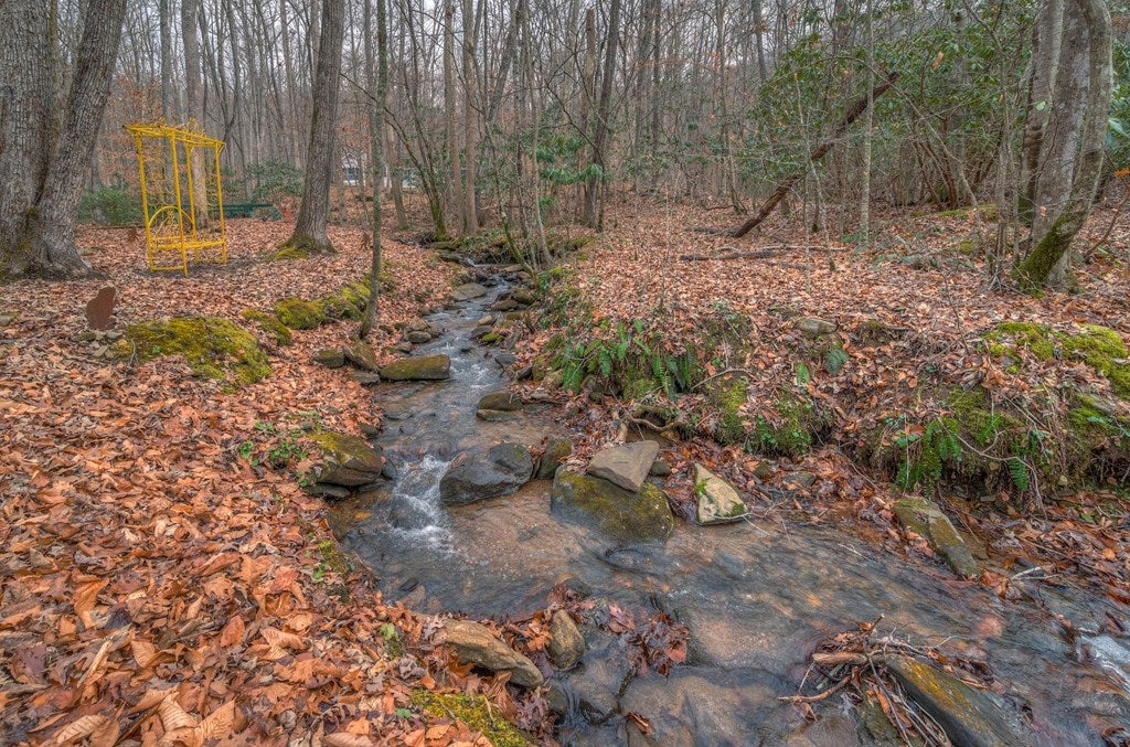 Hiawassee, Georgia, 30546, United States, 3 Bedrooms Bedrooms, ,2 BathroomsBathrooms,Residential,Active,2007353