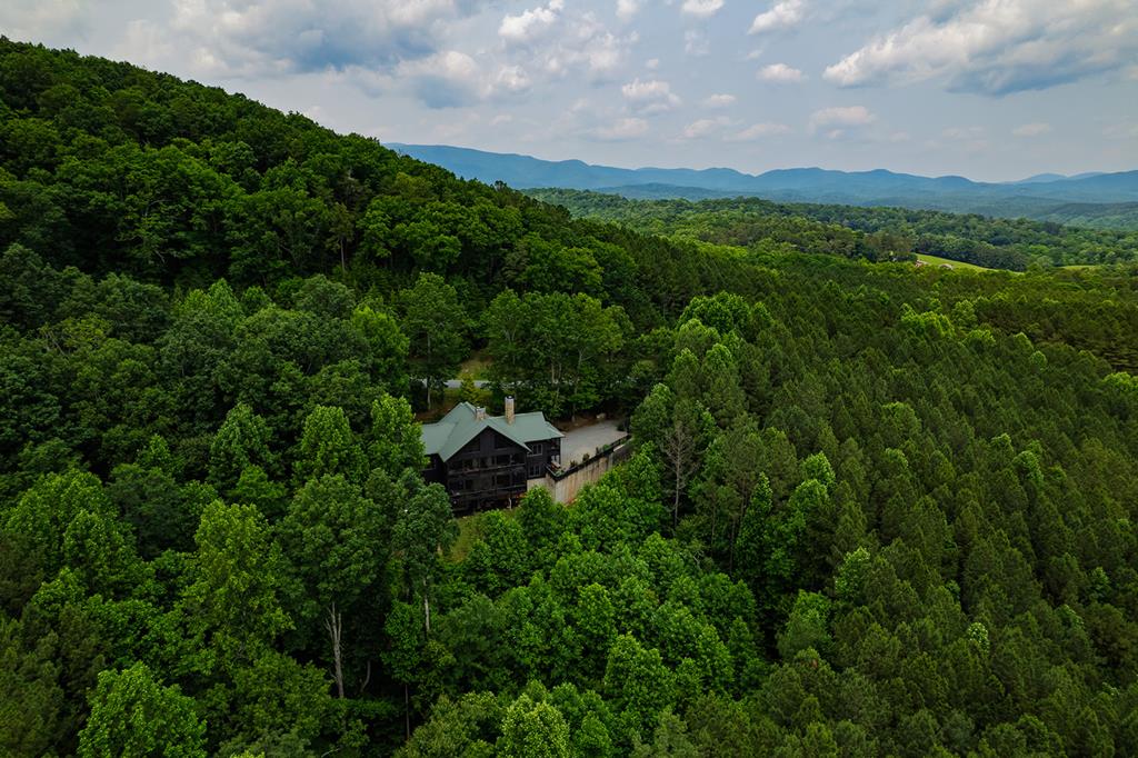Ellijay, Georgia, 30536, United States, 6 Bedrooms Bedrooms, ,5 BathroomsBathrooms,Residential,Active,1929800