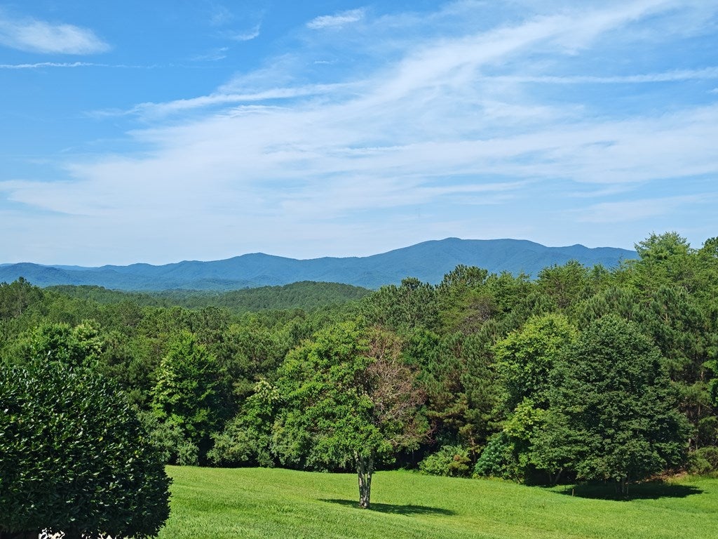 Copperhill, Tennessee, 37317, United States, 5 Bedrooms Bedrooms, ,6 BathroomsBathrooms,Residential,Active,1871227