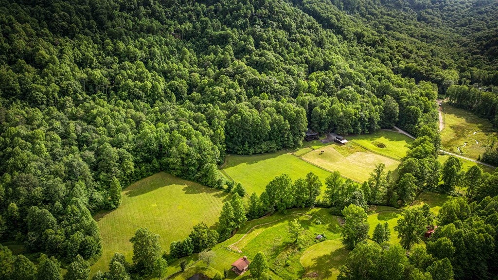 Blue Ridge, Georgia, 30513, United States, 3 Bedrooms Bedrooms, ,4 BathroomsBathrooms,Residential,Active,2008330