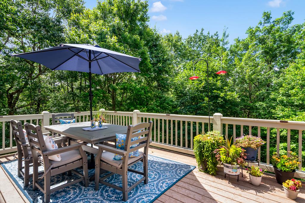 Ellijay, Georgia, 30536, United States, 6 Bedrooms Bedrooms, ,7 BathroomsBathrooms,Residential,Active,1790226