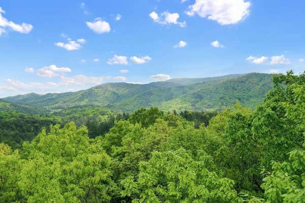 LOT 32 CROCKETT MOUNTAIN, CHERRY LOG, GA 30522, photo 2 of 15