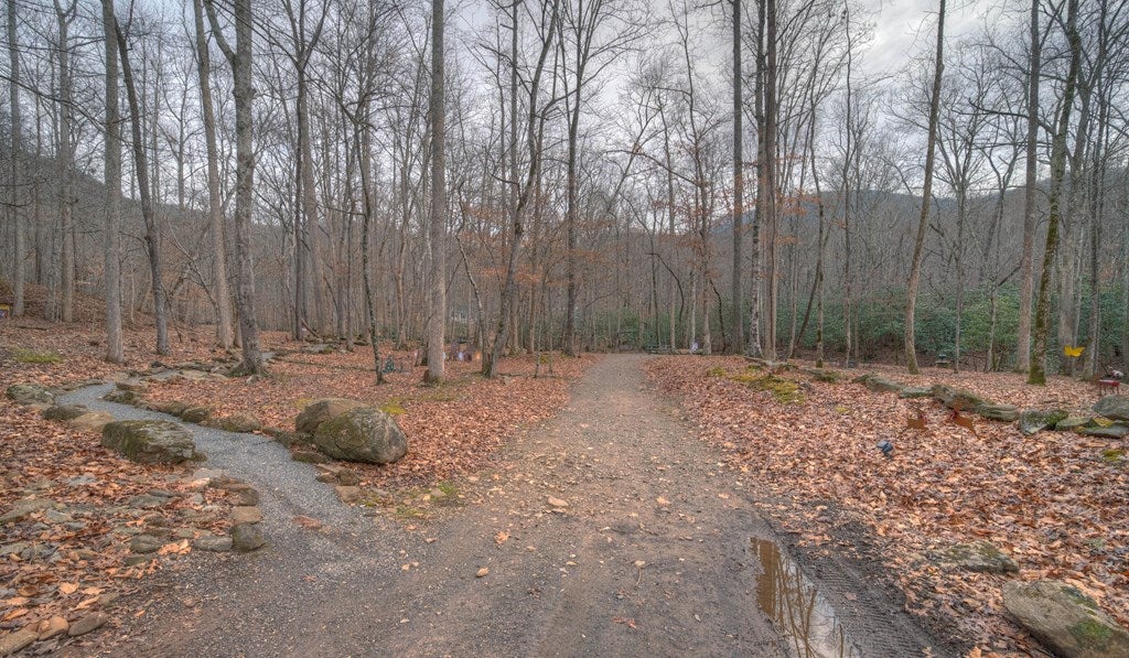 Hiawassee, Georgia, 30546, United States, 3 Bedrooms Bedrooms, ,2 BathroomsBathrooms,Residential,Active,2007353