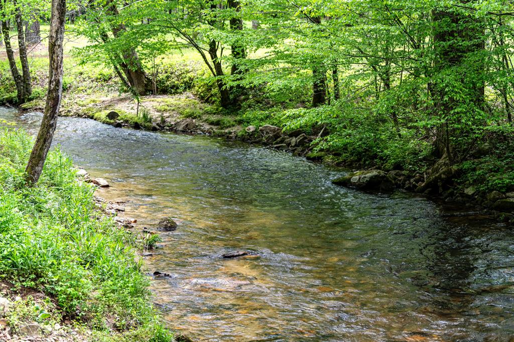 Ellijay, Georgia, 30536, United States, 3 Bedrooms Bedrooms, ,4 BathroomsBathrooms,Residential,Active,1968120