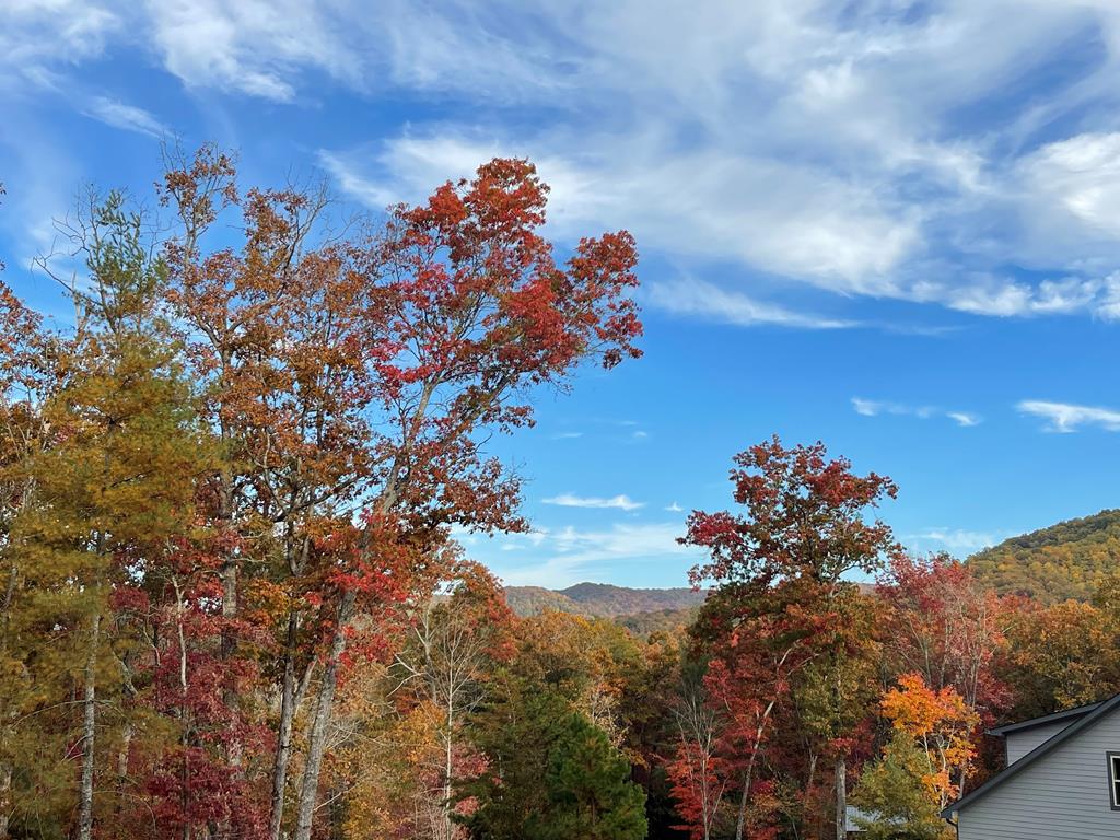 Morganton, Georgia, 30560, United States, 4 Bedrooms Bedrooms, ,4 BathroomsBathrooms,Residential,Active,1844261