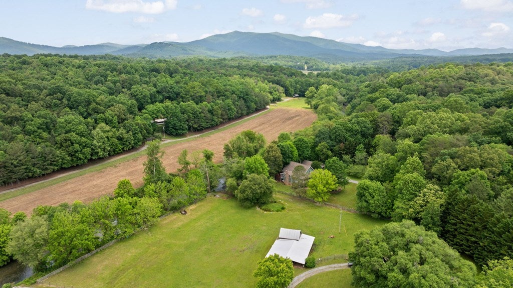 Ellijay, Georgia, 30536, United States, 3 Bedrooms Bedrooms, ,3 BathroomsBathrooms,Residential,Active,1953369