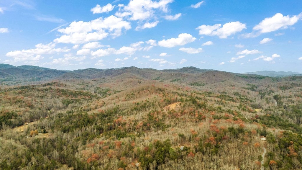 Blairsville, Georgia, 30512, United States, 5 Bedrooms Bedrooms, ,4 BathroomsBathrooms,Residential,Active,1741628