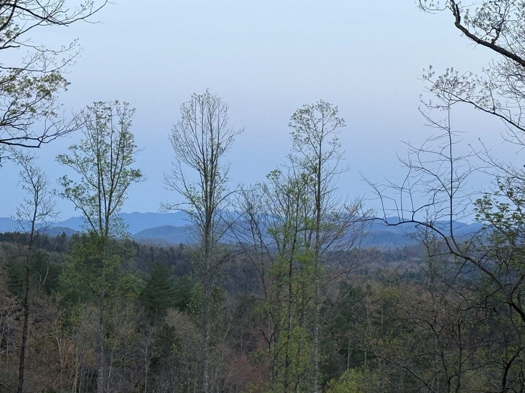 Murphy, North Carolina, 28906, United States, 1 Bedroom Bedrooms, ,1 BathroomBathrooms,Residential,Active,1780447